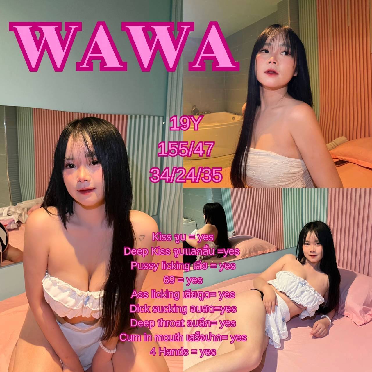 wawa.jpg