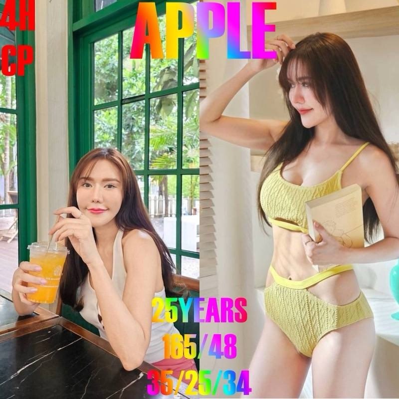 체어맨 매니저